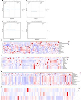 Discovery of potential biomarkers for osteoporosis using LC/GC−MS metabolomic methods